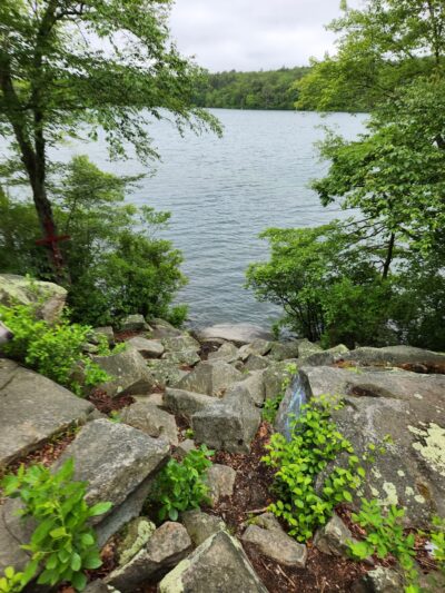 Carrs Pond Loop - East Greenwich, RI