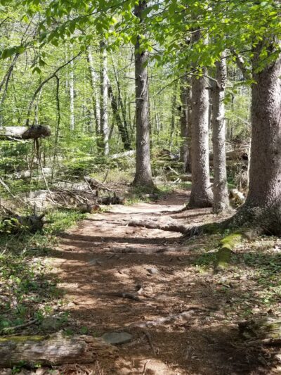 Carrs Pond Loop - East Greenwich, RI