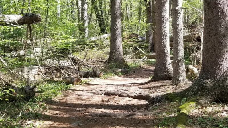 Carrs Pond Loop - East Greenwich, RI