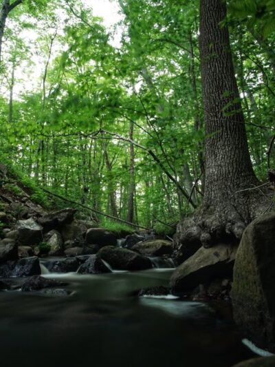 Fry Brook Recreation Area - East Greenwich, RI