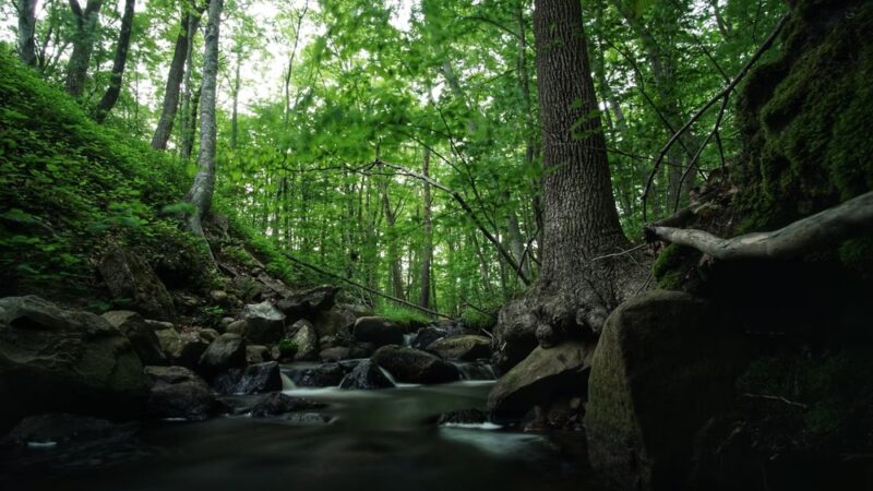 Fry Brook Recreation Area - East Greenwich, RI