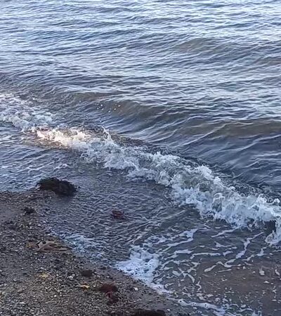 Goddard Memorial State Park Beach - East Greenwich, RI