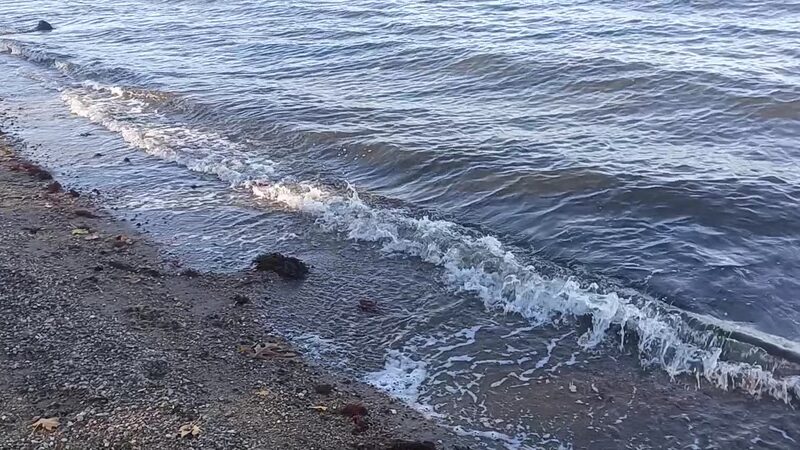 Goddard Memorial State Park Beach - East Greenwich, RI
