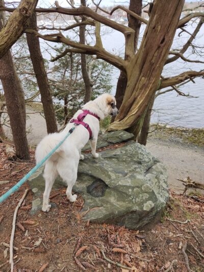 Goddard Park Beach Trail Head - East Greenwich, RI