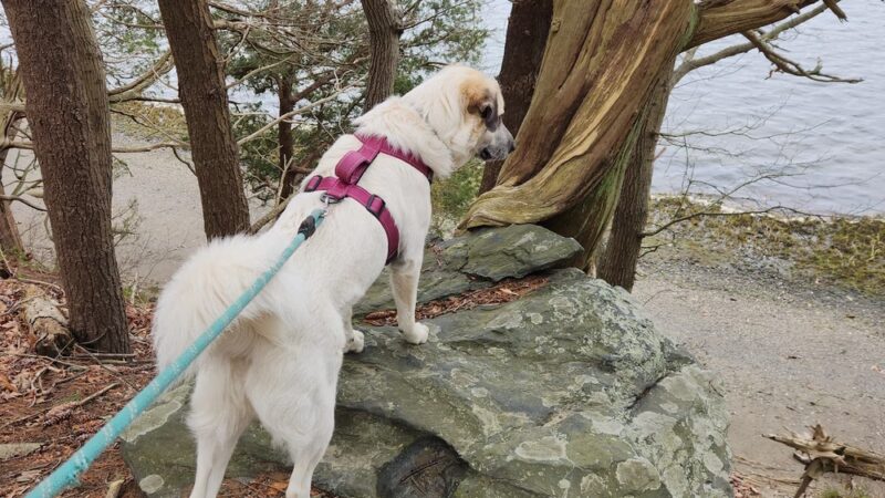 Goddard Park Beach Trail Head - East Greenwich, RI
