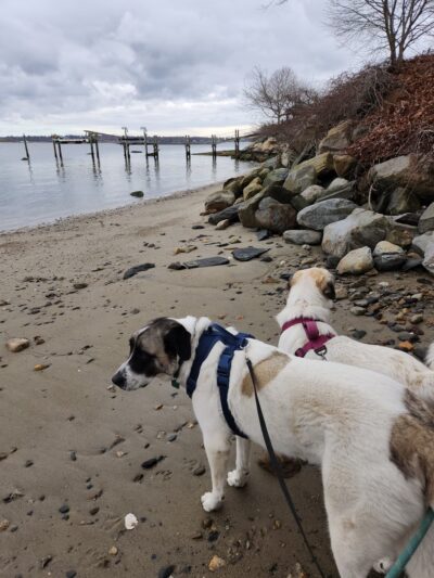 Goddard Park Beach Trail Head - East Greenwich, RI