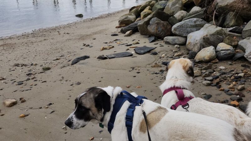 Goddard Park Beach Trail Head - East Greenwich, RI