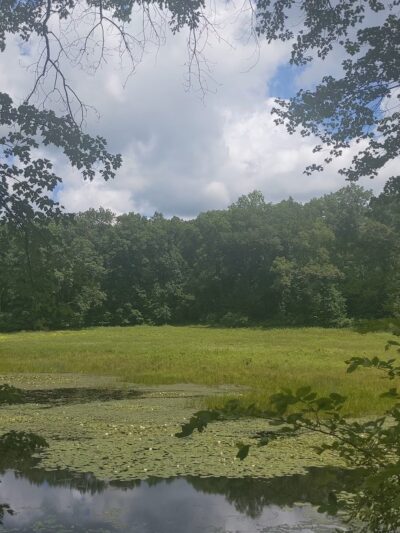 Air Line South State Park Trail - East Hampton - East Hampton, CT
