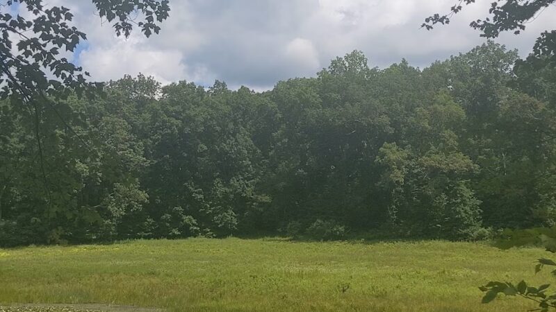 Air Line South State Park Trail - East Hampton - East Hampton, CT