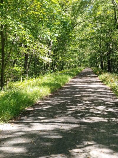 Air Line South State Park Trail - East Hampton - East Hampton, CT