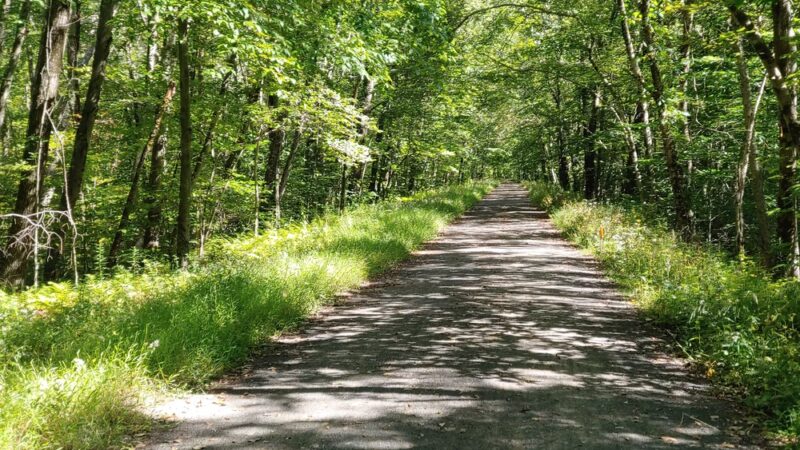 Air Line South State Park Trail - East Hampton - East Hampton, CT