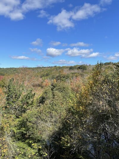 Air Line South State Park Trail - East Hampton - East Hampton, CT