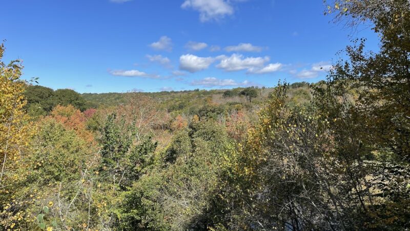 Air Line South State Park Trail - East Hampton - East Hampton, CT