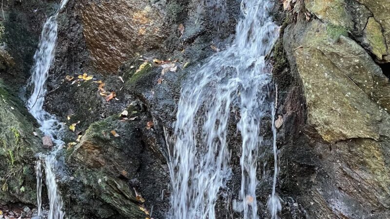 Air Line South State Park Trail - East Hampton - East Hampton, CT