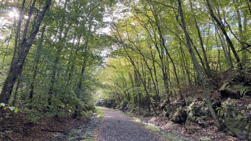 Airline Rail Trail parking - East Hampton, CT
