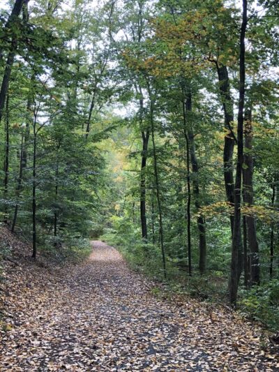 Hurd State Park - East Hampton, CT