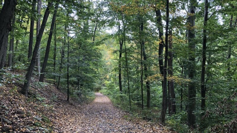 Hurd State Park - East Hampton, CT