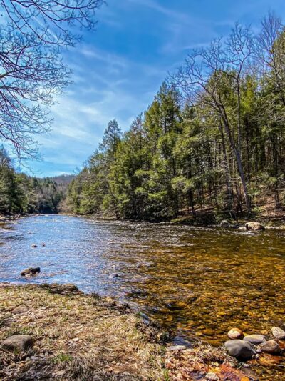 Salmon River Picnic Area - East Hampton, CT