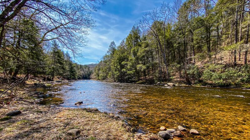 Salmon River Picnic Area - East Hampton, CT