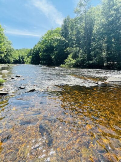 Salmon River Picnic Area - East Hampton, CT