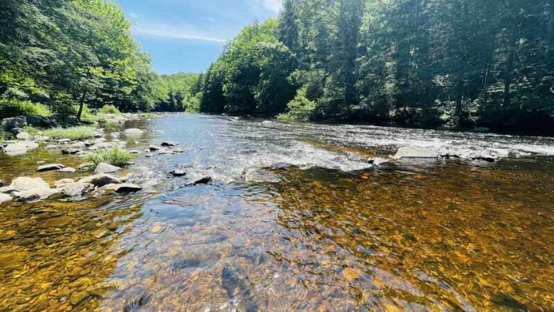 Salmon River Picnic Area - East Hampton, CT