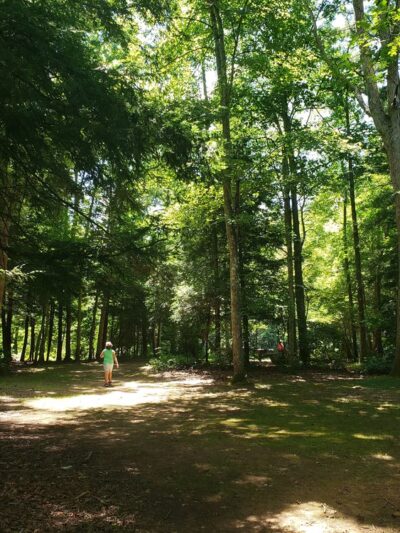 Salmon River Picnic Area - East Hampton, CT