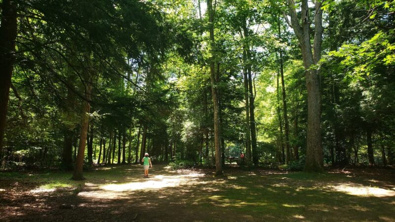 Salmon River Picnic Area - East Hampton, CT