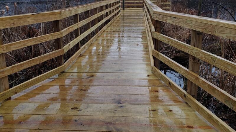Mill Road Conservation Area - East Longmeadow, MA