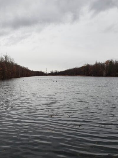 Mill Road Conservation Area - East Longmeadow, MA
