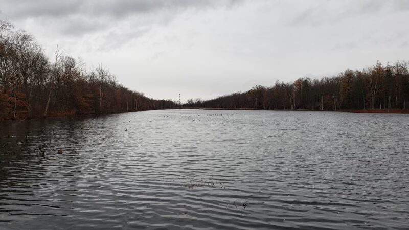 Mill Road Conservation Area - East Longmeadow, MA