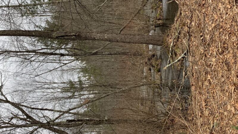 Mill Road Conservation Area - East Longmeadow, MA