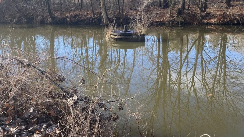 Redstone Rail Trail Bike Trail - East Longmeadow, MA