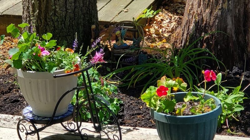 The Island Campground and Cottages - East Lyme, CT