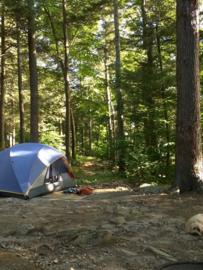 Tolland State Forest - East Otis, MA