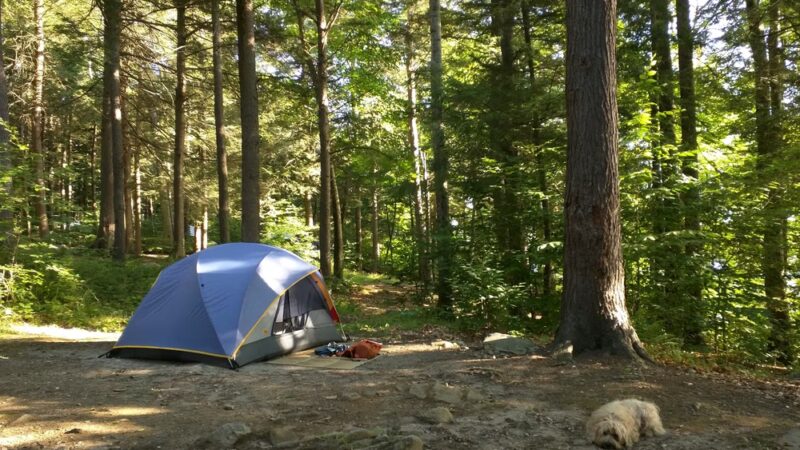 Tolland State Forest - East Otis, MA
