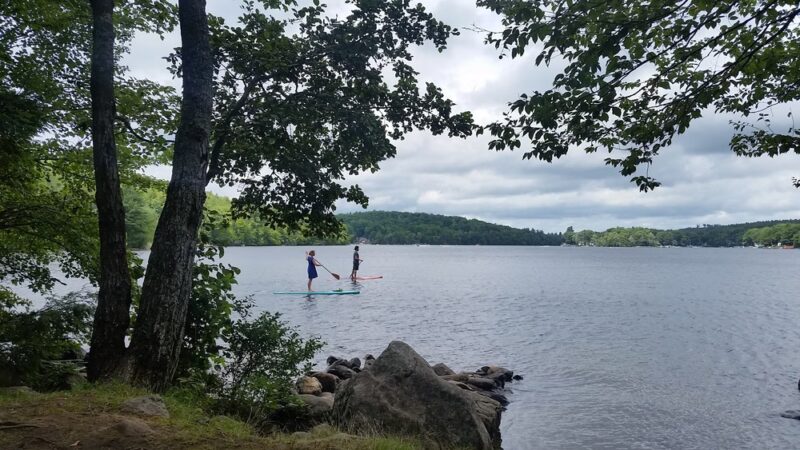 Tolland State Forest - East Otis, MA