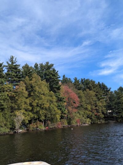 Tolland State Forest - East Otis, MA