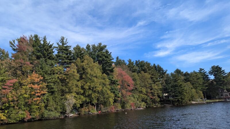 Tolland State Forest - East Otis, MA