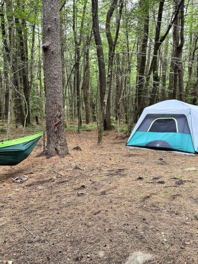 Tolland State Forest Campground - East Otis, MA