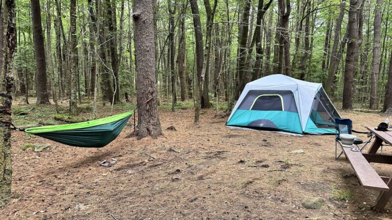 Tolland State Forest Campground - East Otis, MA