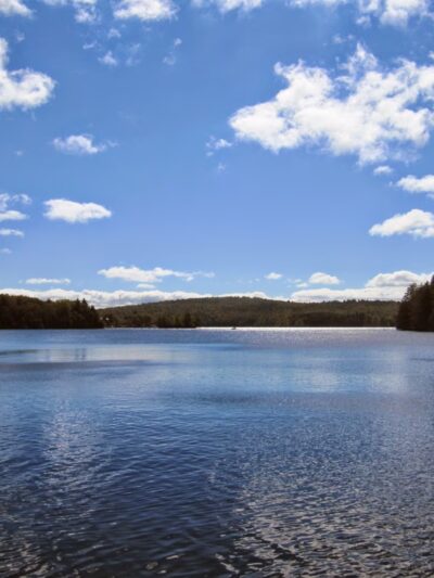 Tolland State Forest Campground - East Otis, MA