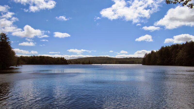 Tolland State Forest Campground - East Otis, MA