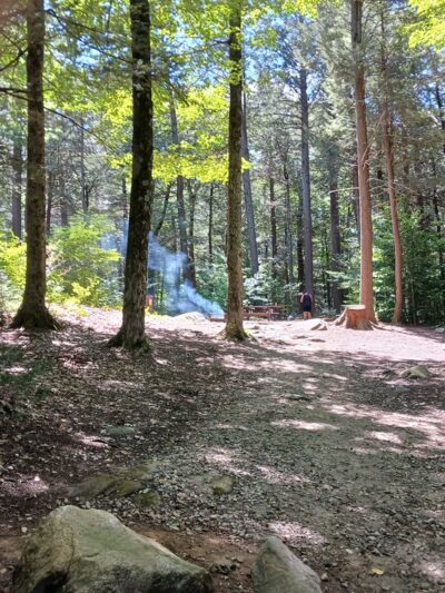 Tolland State Forest Campground - East Otis, MA