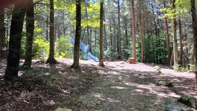 Tolland State Forest Campground - East Otis, MA