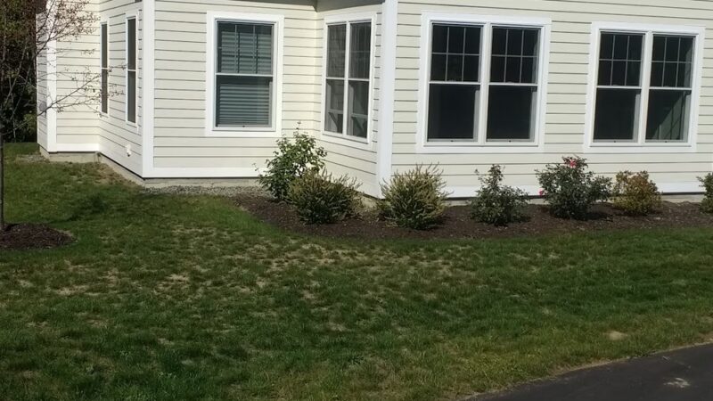 East Otto Country Kennels - East Otto, NY