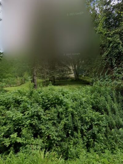 East Otto Country Kennels - East Otto, NY