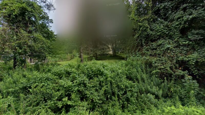 East Otto Country Kennels - East Otto, NY