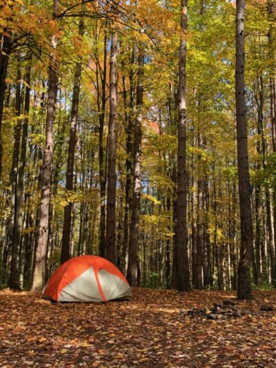 East Otto State Forest Campground - East Otto, NY