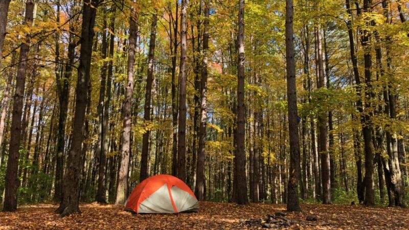 East Otto State Forest Campground - East Otto, NY
