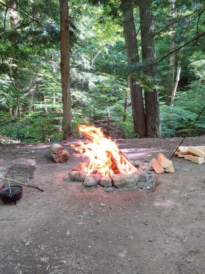 East Otto State Forest Campground - East Otto, NY
